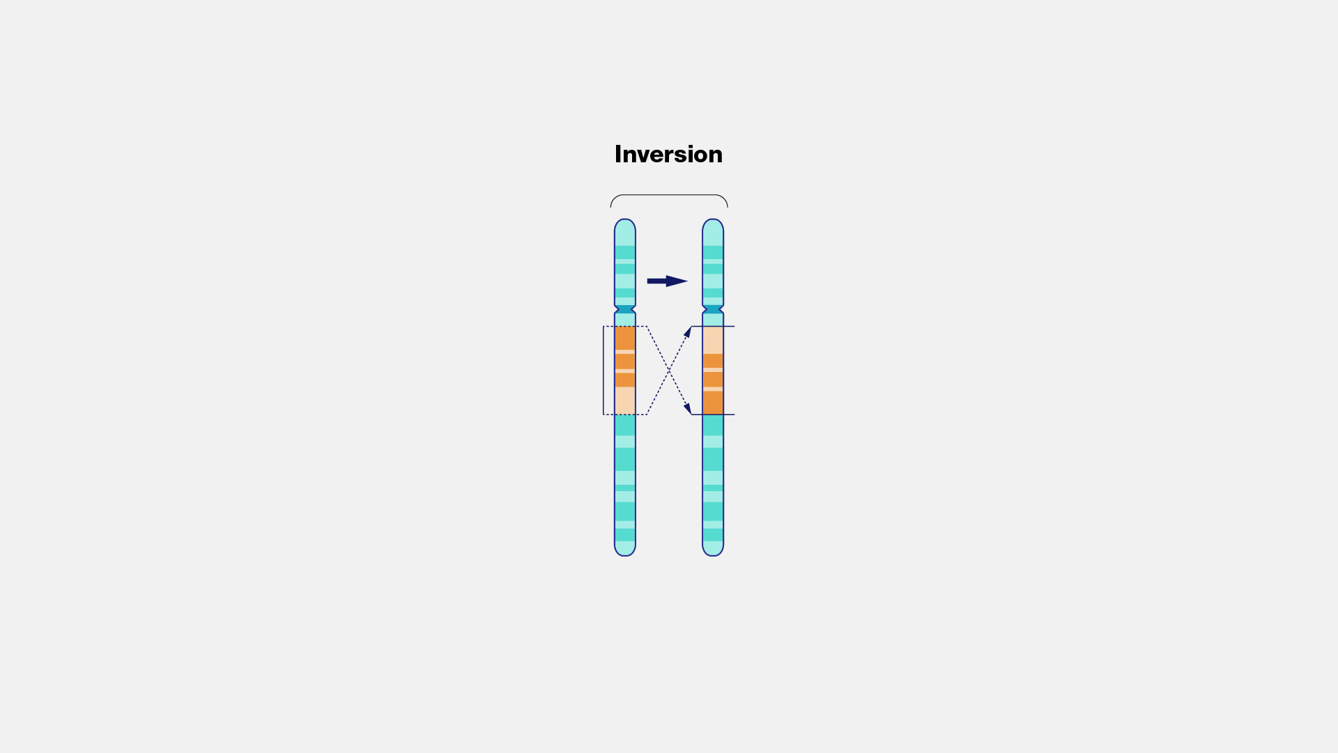 Inversion