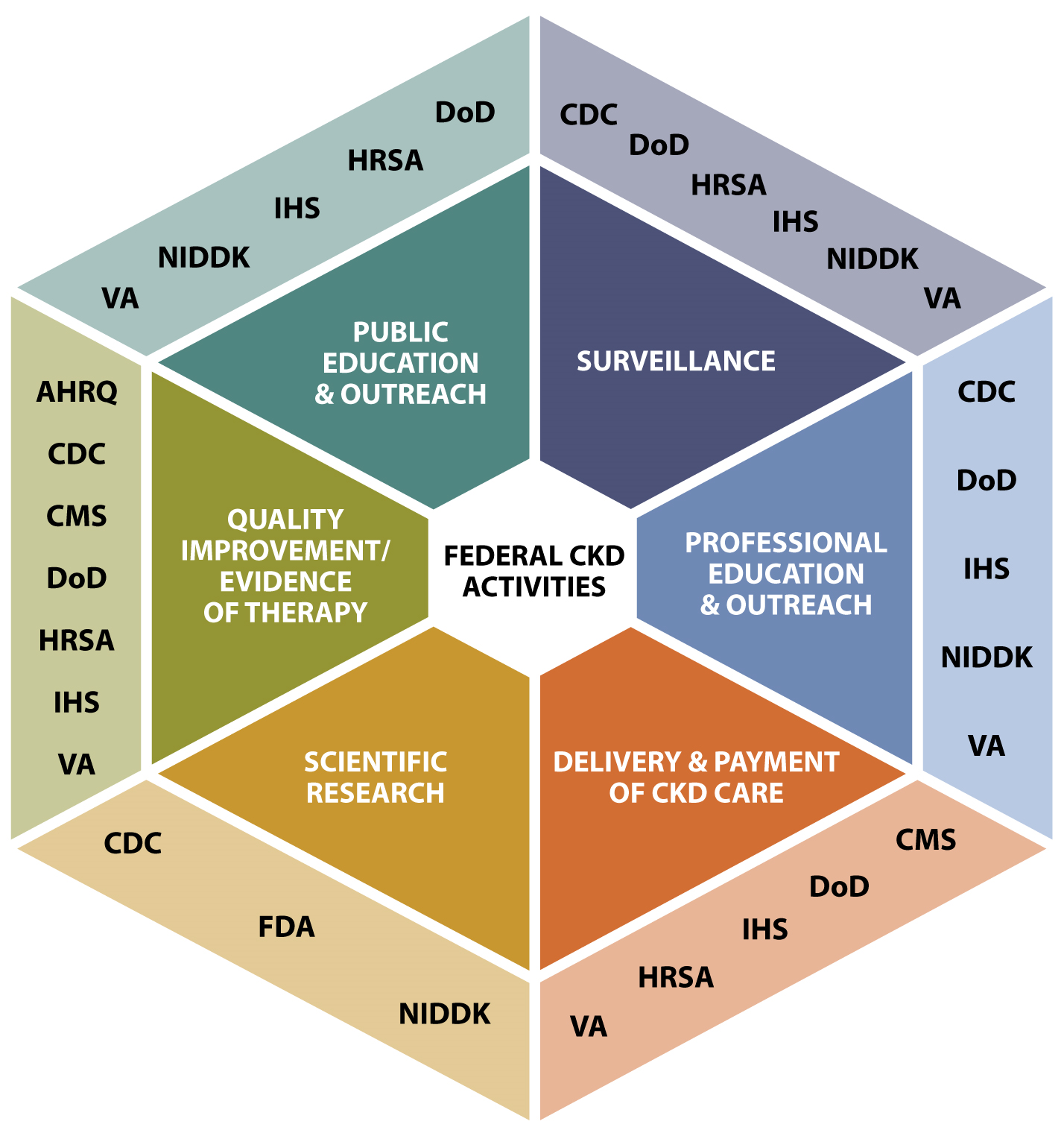 Federal CKD activities include public education and outreach (conducted by DoD, HRSA, IHS, NIDDK and VA), surveillance (conducted by CDC, DoD, HRSA, IHS, NIDDK and VA), professional education and outreach (conducted by CDC, DoD, IHS, NIDDK and VA), delivery and payment of care (conducted by CMS, DoD, HRSA, IHS and VA), scientific research (conducted by CDC, FDA, and NIDDK) and quality improvement/evidence of therapy (conducted by AHRQ, CDC, CMS, DoD, HRSA, IHS and VA).