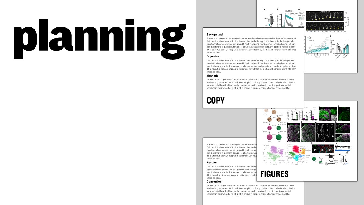 Scientific poster design course slide