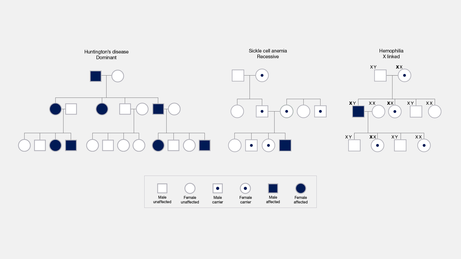 Mendelian-inheritance