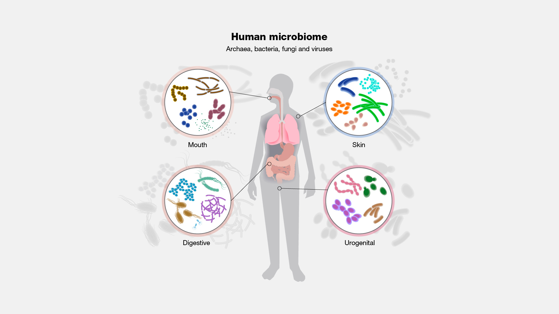 Microbiome