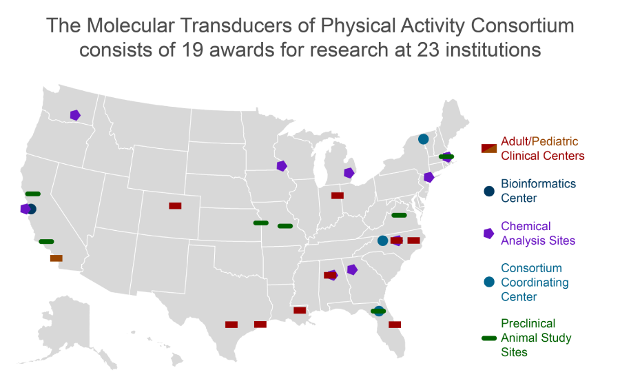 MoTrPAC-Interactive-Map_FullMap_P2-900x550.png