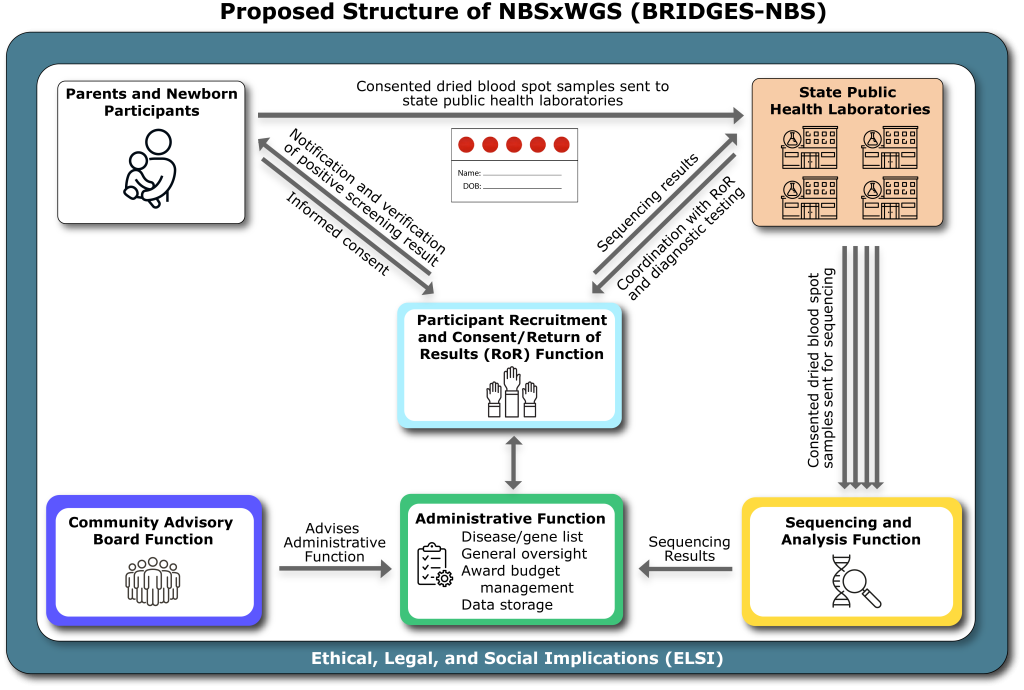NBSxWGS Infographic_V14_BRIDGES-NBS name change_0.png