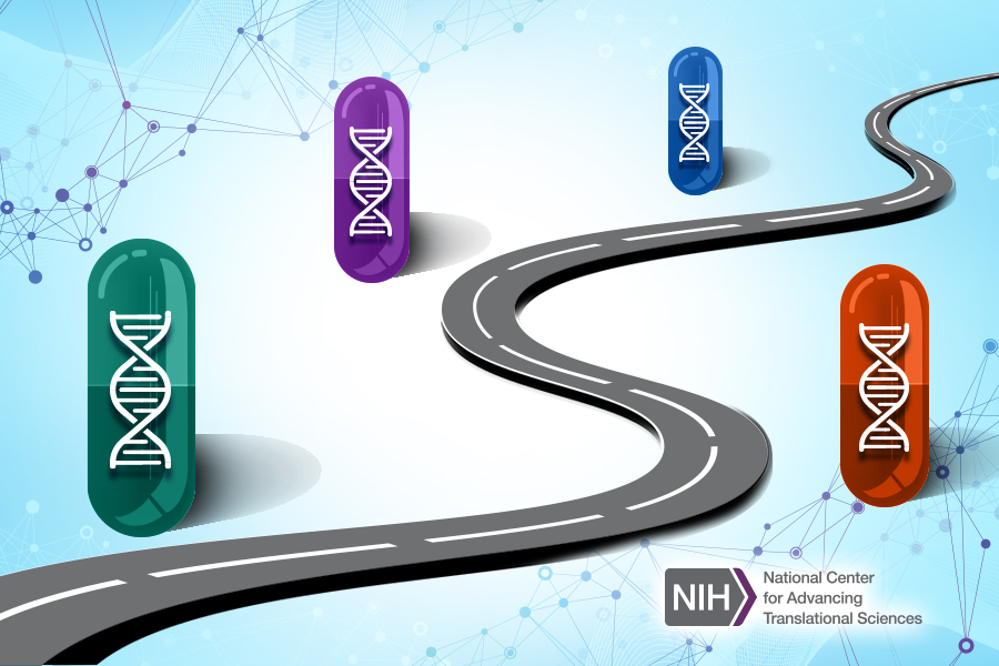 Illustration of double helixes inside four pill capsules along a winding road.