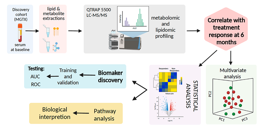 Scientists analyzed blood samples from clinical trial participants to see if they could correlate how patients fared taking the drug prednisone with chemicals in the blood. Researchers discovered markers in the blood that could predict how the patients did on the drug. Most importantly, they found that differences in how participants processed prednisone may be a key to why some do not get better. 
