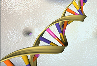 Photo of DNA Double Helix