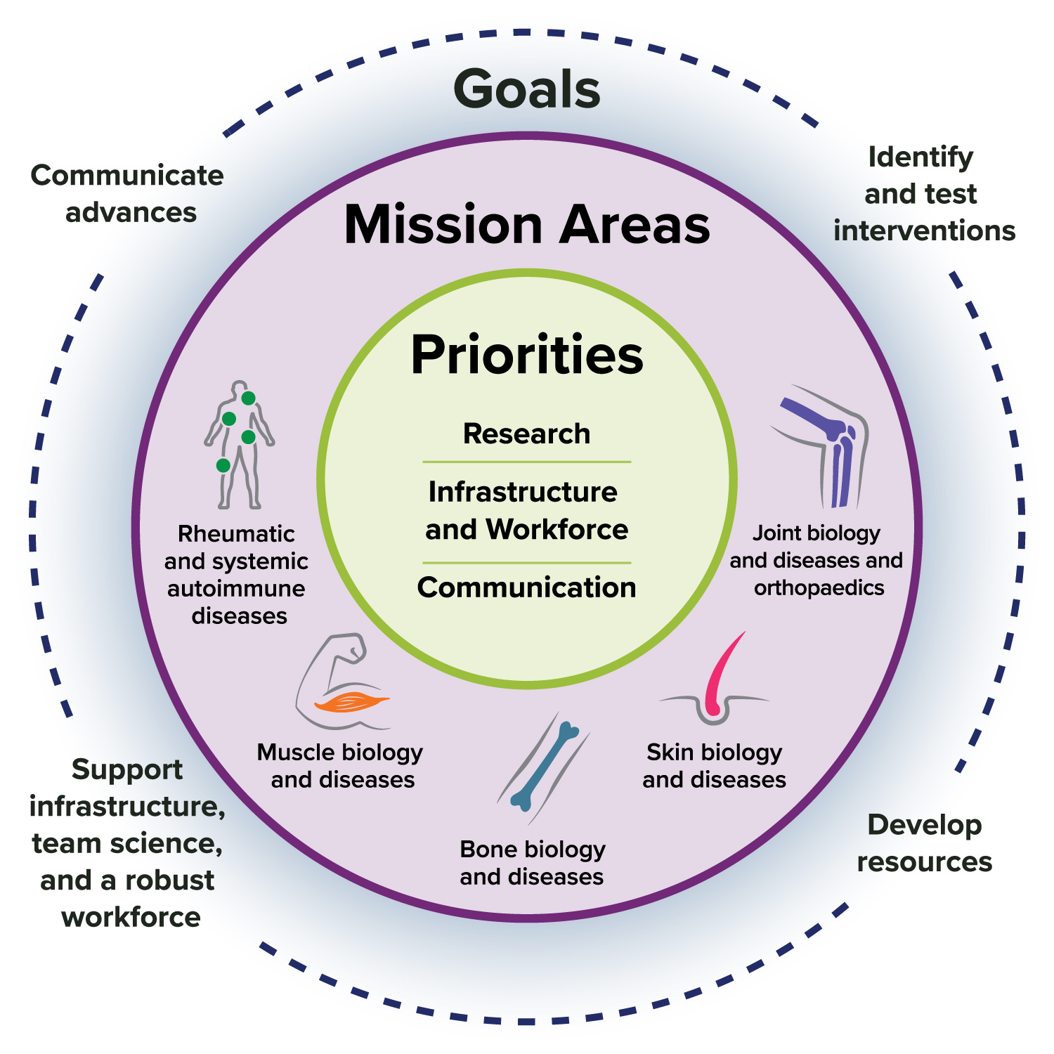 NIAMS Strategic Framework