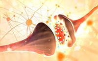 NIDDK_SPARC Body Elements_SP1_Image2_200x125.png