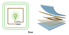 NIDDK_SPARC Body Elements_SP2_Image2_225x115.png