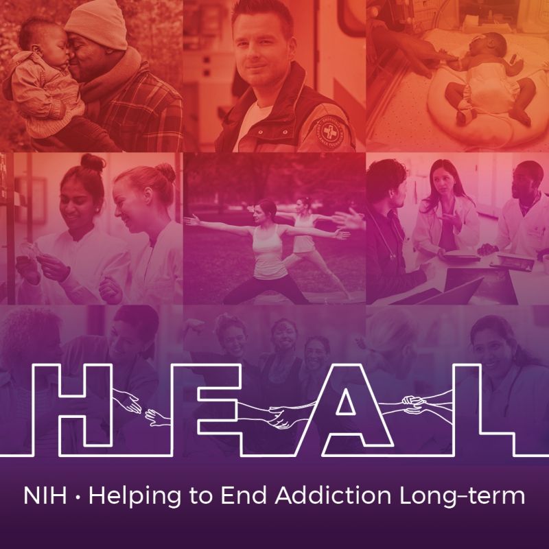 HEAL Initiative graphic identifier