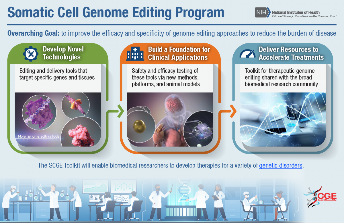 NIH-OD_SCGE-ProgramInfographic_508_edited.png