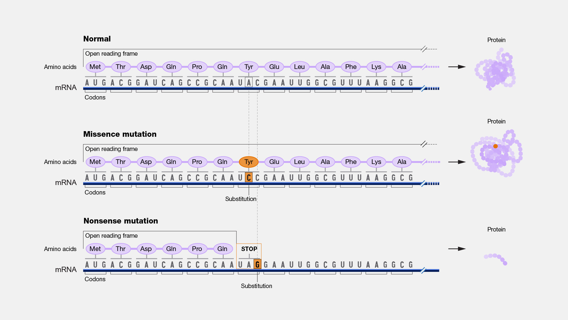 Point-mutation