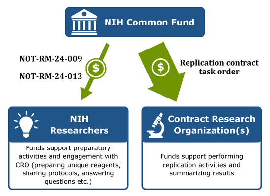 Replication_Overview_102024.png