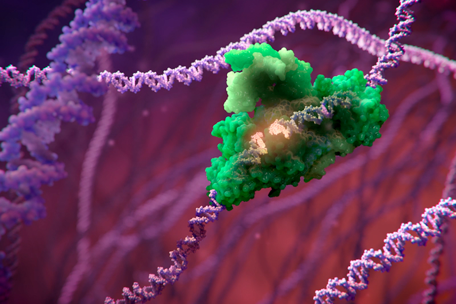 An editing enzyme fixing DNA.