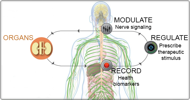 SPARC_SP1_Image3_650x344_c.png