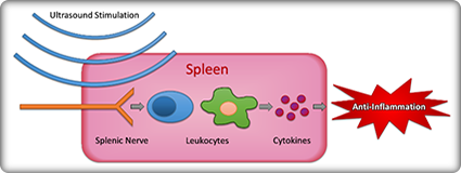 SPARC_SP2_Image3_425x160.png