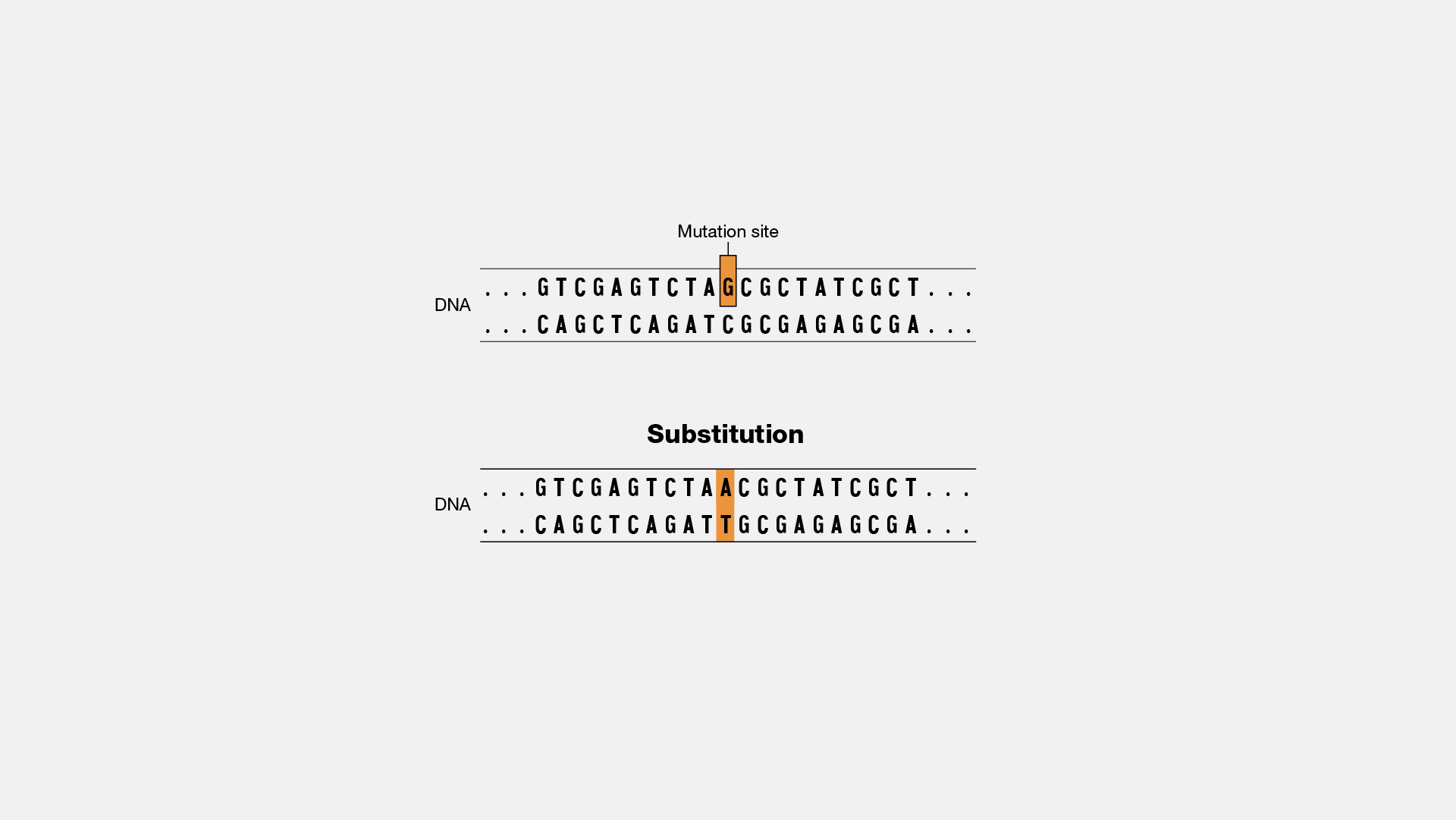 Subsitution