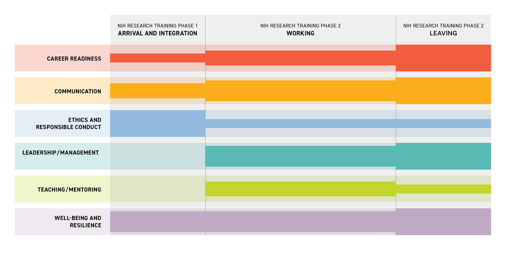 TraineePhasesInfographic-Rd2A