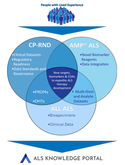 Updated AMP ALS infofraphic w KP.png