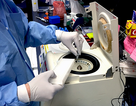 Photo of Zika virus researcher at the NIAID Vaccine Research Center loading samples into a microcentrifuge.
