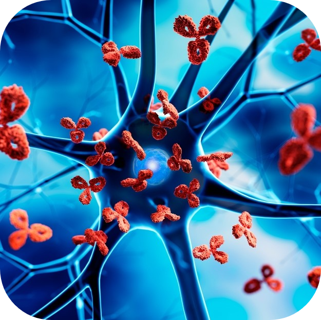 Image of autoimmune cells