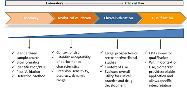 biomarker_dev_process_diagram.jpg