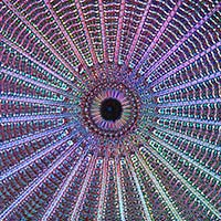 Biomedical Engineering and Biophysics