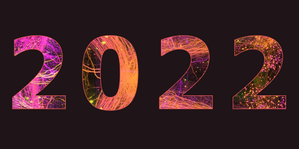 text 2022 in brain axon 