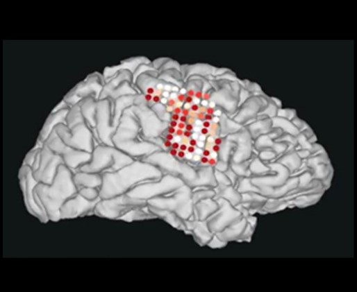 brain-computer-interface.jpg