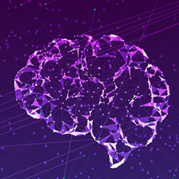 Purple outline of a human brain over a purple background