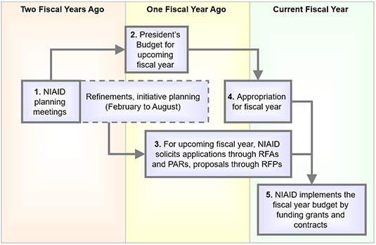 Budget and Concept Planning by Fiscal Year (infographic)