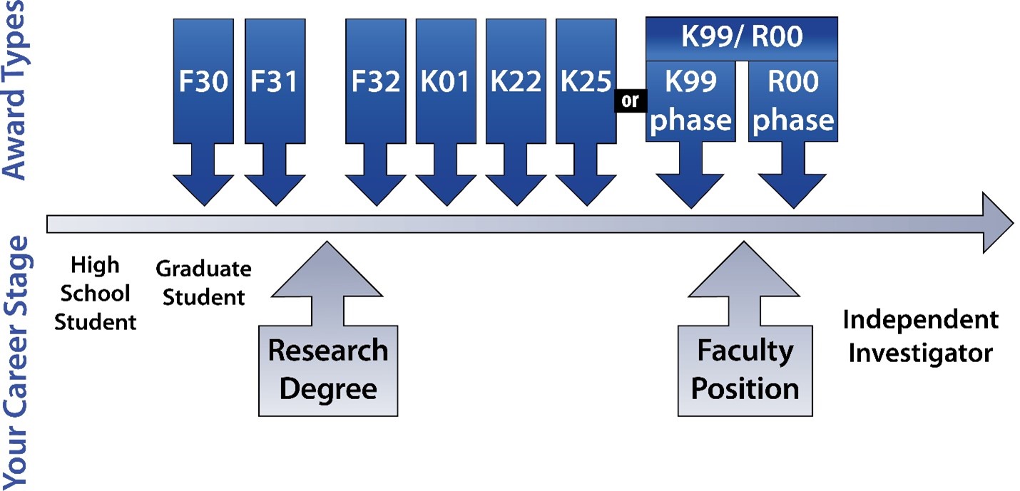 Timeline for Ph.D.s to apply to NIH (Infographic)