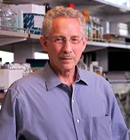 Headshot of Carl Nathan