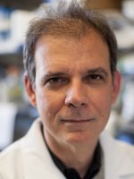 Arturo Casadevall, M.D., Ph.D.