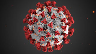 Coronavirus illustration, CDC.