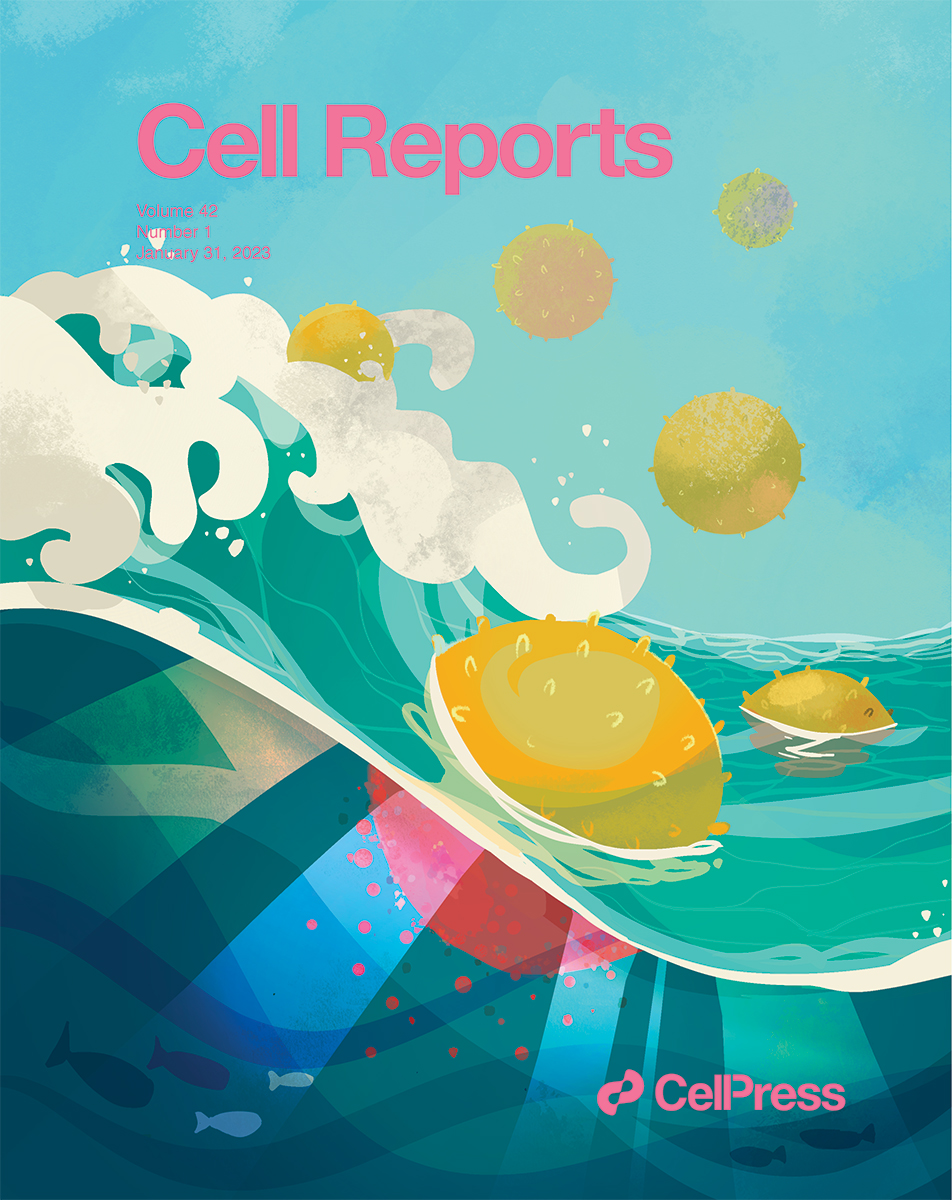 Cell Reports cover illustration on the mechanism of SSHELs