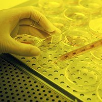 Chemical Biology