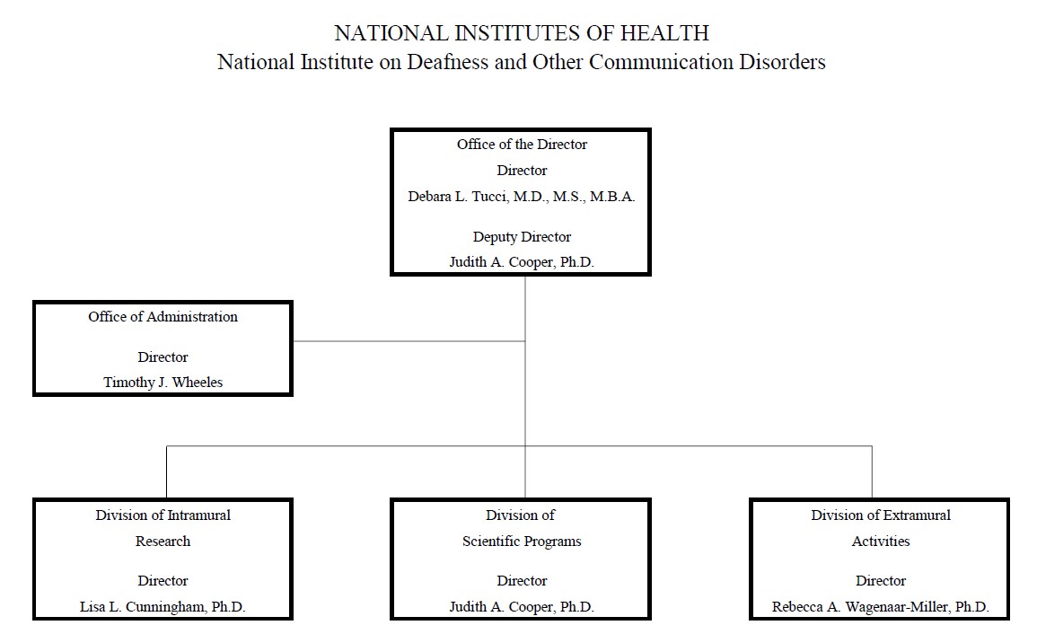 cj-2024-org-chart.jpg