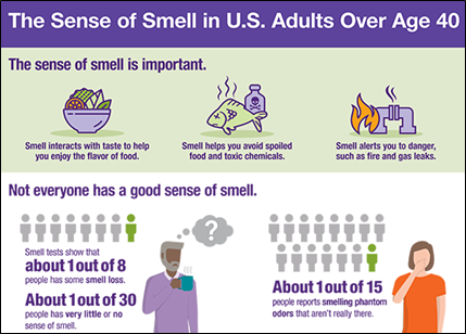 cj-2024-sense-of-smell.png