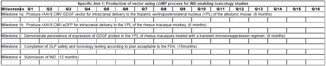 create-bio-timeline-example-table.jpg