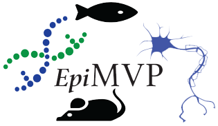 epimvp_logo.png