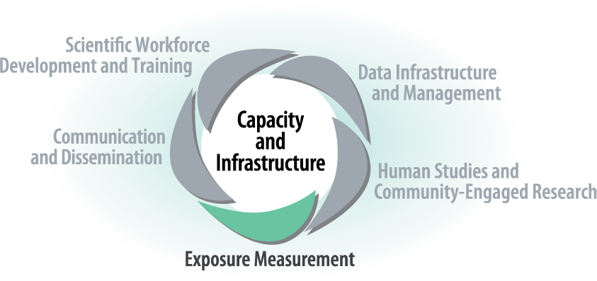 Capacity and Infrastructure Regular - Exposure Measurement