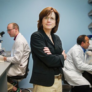 Faculty-Level Scientific Careers