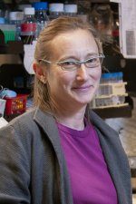 Judith Frydman, Ph.D.