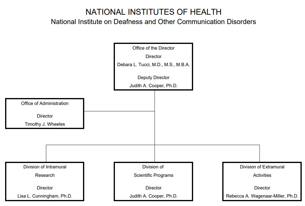 fy-2023-organization-chart.jpg