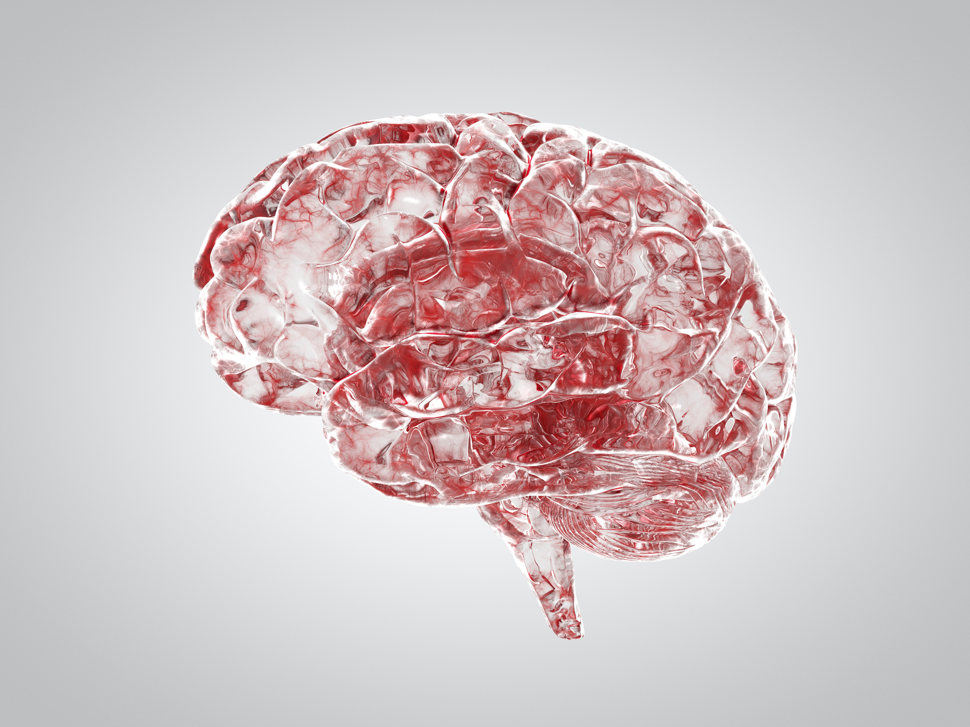 Brain