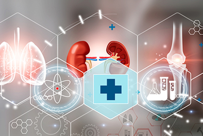 Medical imagery with kidneys, lungs, and a knee joint
