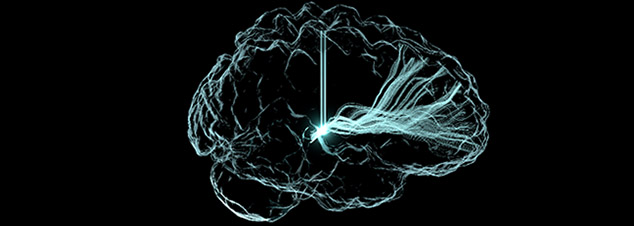 img_focus_on_neuroethics_634x226.jpg