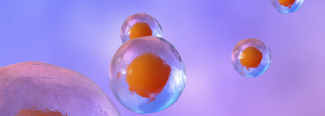 img_focus_on_stem_cells_634x226.jpg