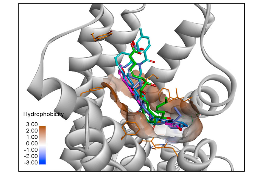 Human resolvin receptor